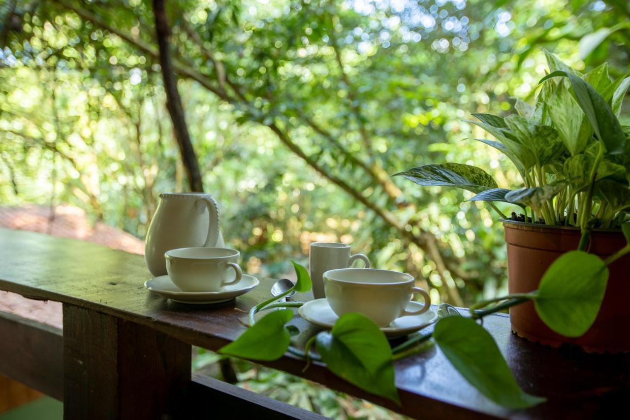 Ferienhaus Del La Fortuna